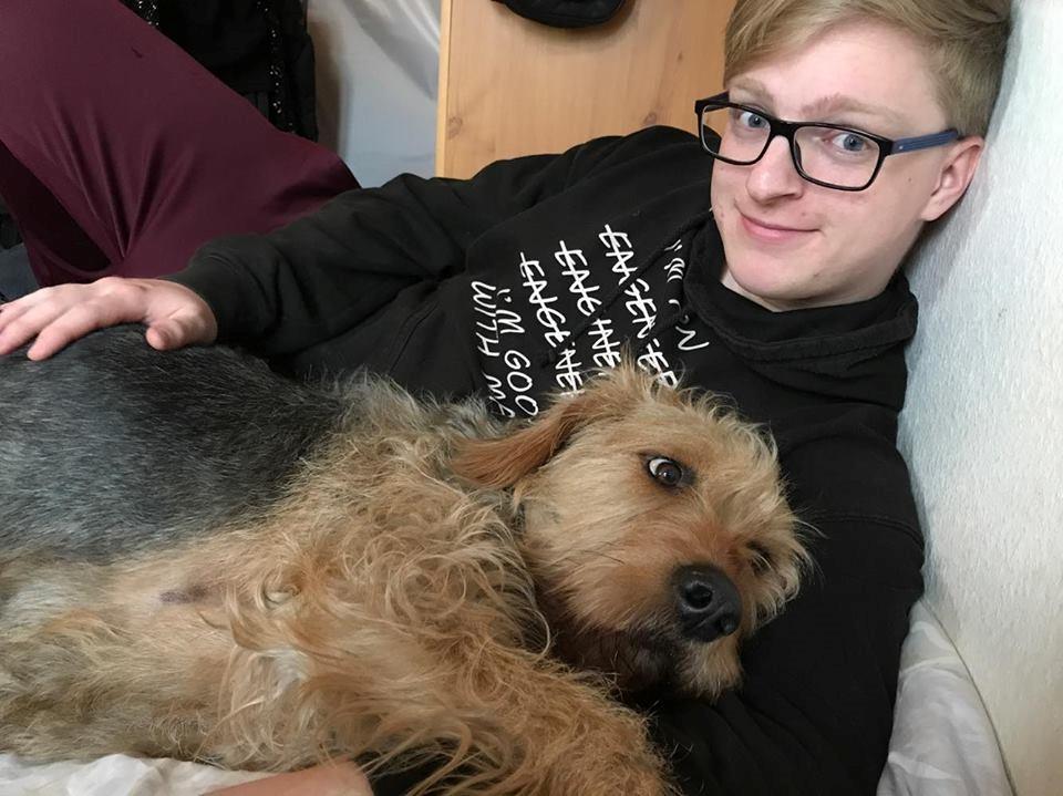 Blanding af racer Hilda billede 26