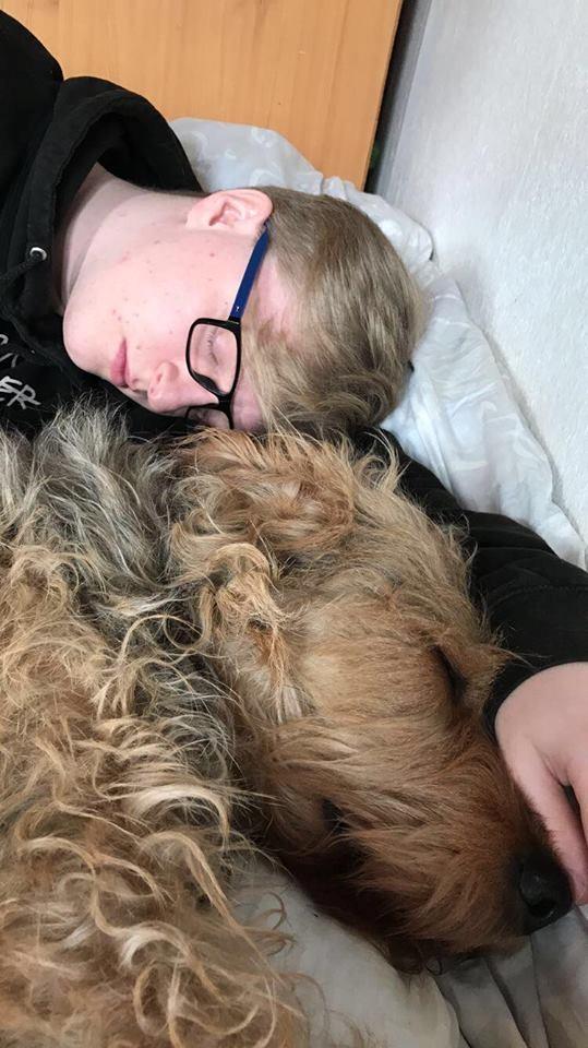 Blanding af racer Hilda billede 25