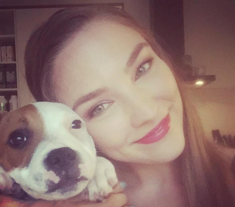 Staffordshire bull terrier Amigo billede 20