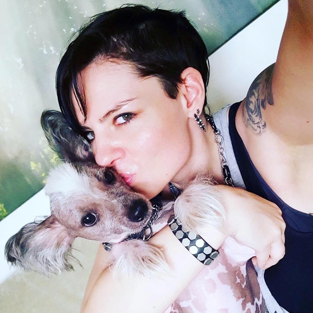 Chinese crested hårløs Spooky billede 20