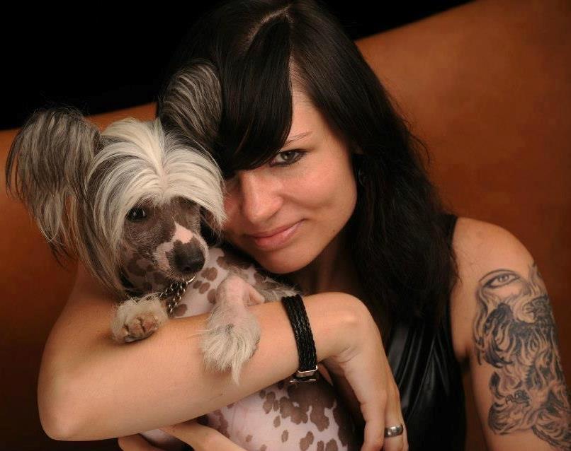 Chinese crested hårløs Spooky billede 34