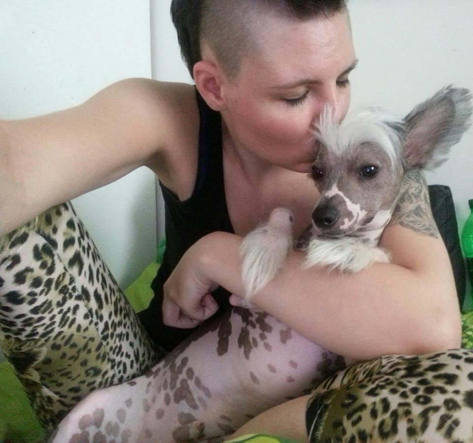 Chinese crested hårløs Spooky billede 24