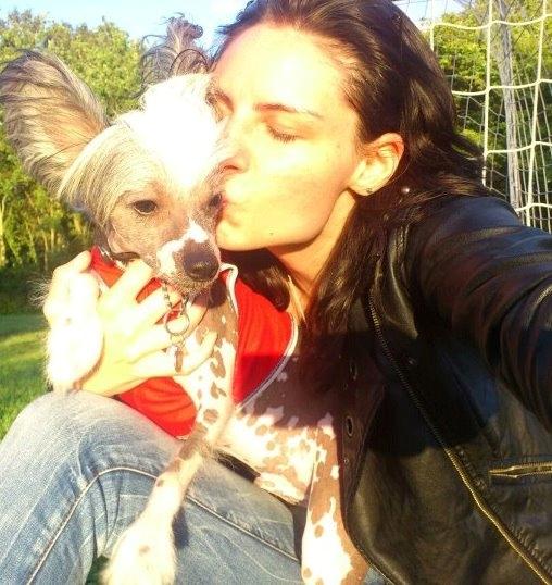 Chinese crested hårløs Spooky billede 33