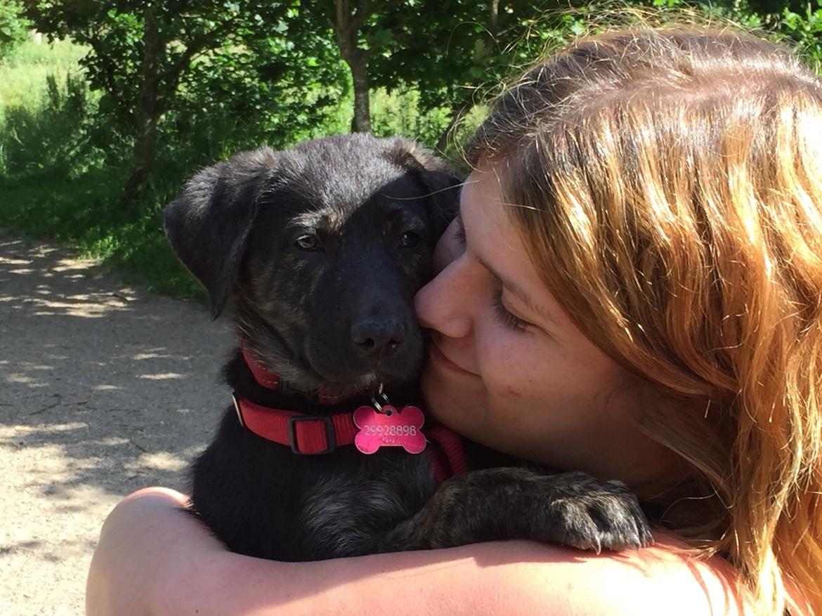 Blanding af racer Nellie billede 15