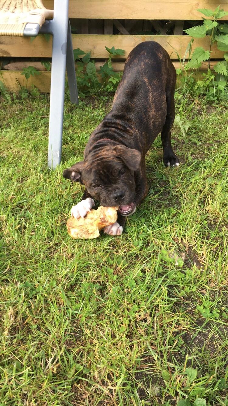 Blanding af racer Modo billede 13