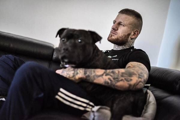 Staffordshire bull terrier Zeus billede 21