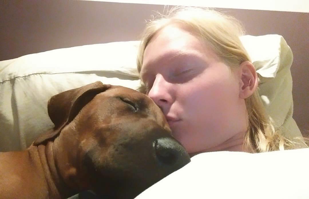 Rhodesian ridgeback Hazinas 7th Galactic  Cosmos "Sam"  - Godnat herfra <3  billede 50