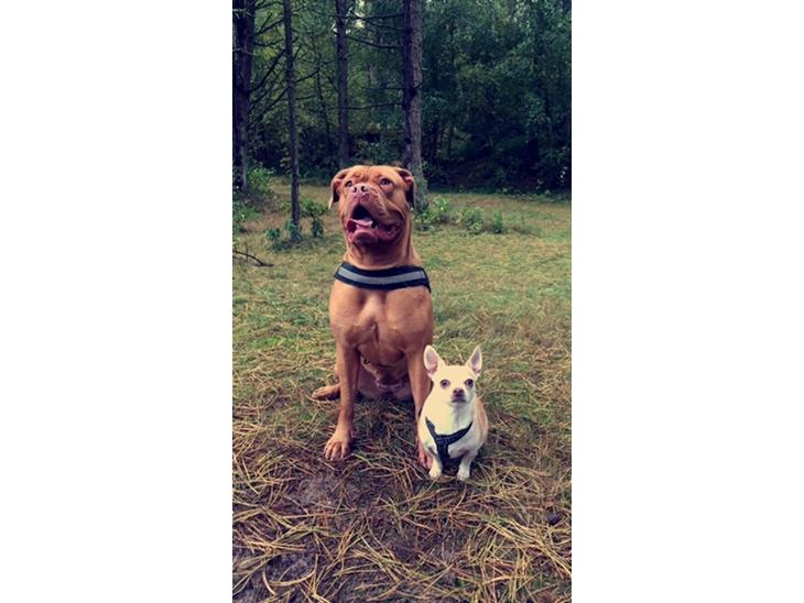 {{currentPhoto.altText}} billede {{currentPhoto.number}}