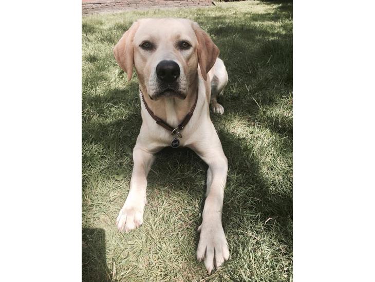 {{currentPhoto.altText}} billede {{currentPhoto.number}}