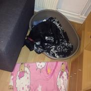 Blanding af racer Merle