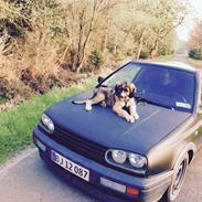 Blanding af racer Tiny (R.I.P) 