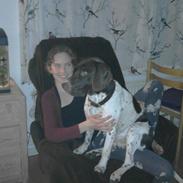 Gammel dansk hønsehund trold