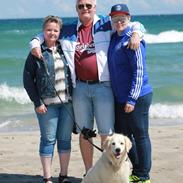 Golden retriever Peka's Chelsea