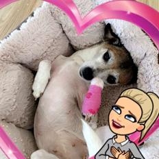 Blanding af racer Bailey