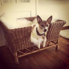 Blanding af racer Bailey