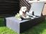 Labrador retriever Manze