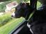 Blanding af racer Nala