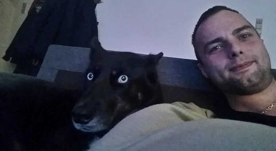 Blanding af racer Nala billede 16