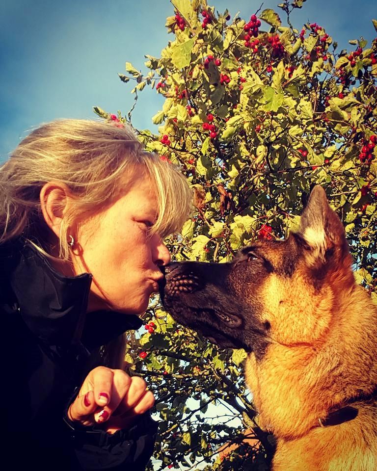 Schæferhund Lester Flokkenlund billede 12