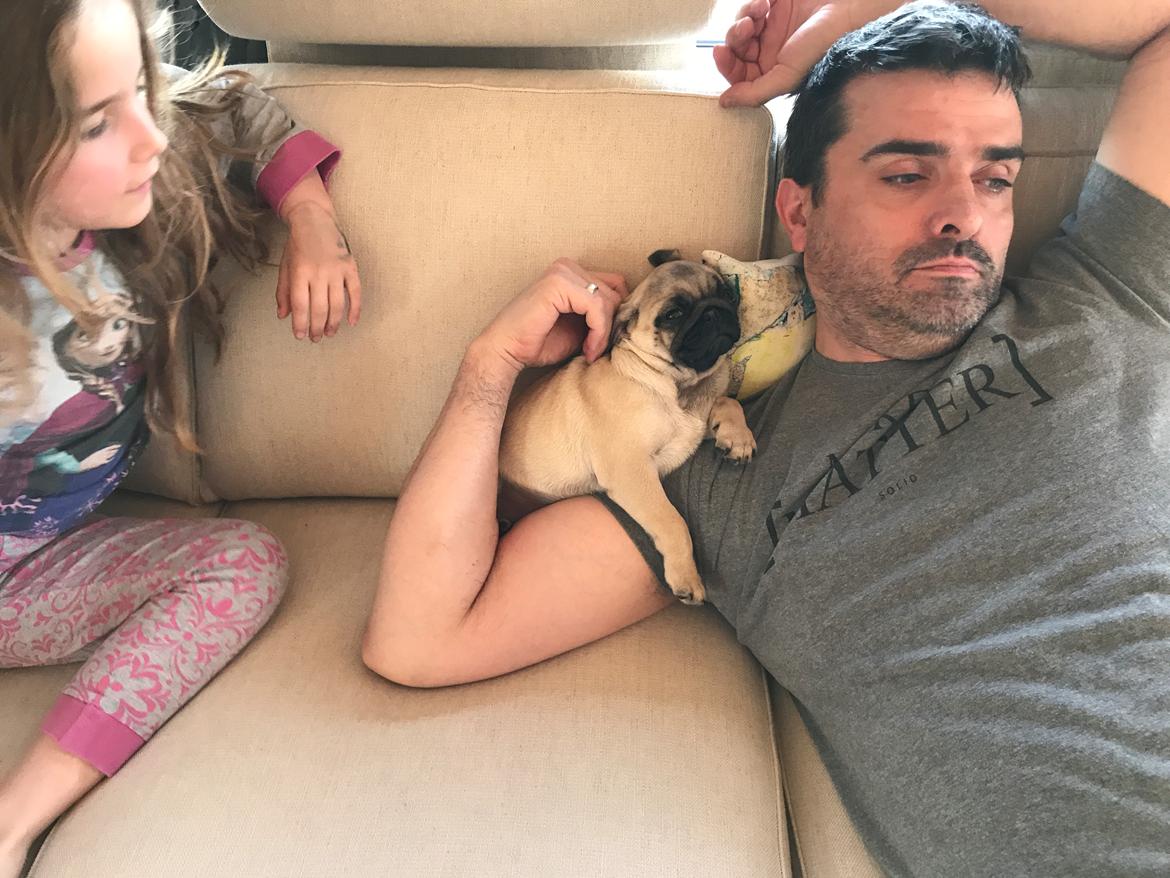 Mops Queenie billede 10