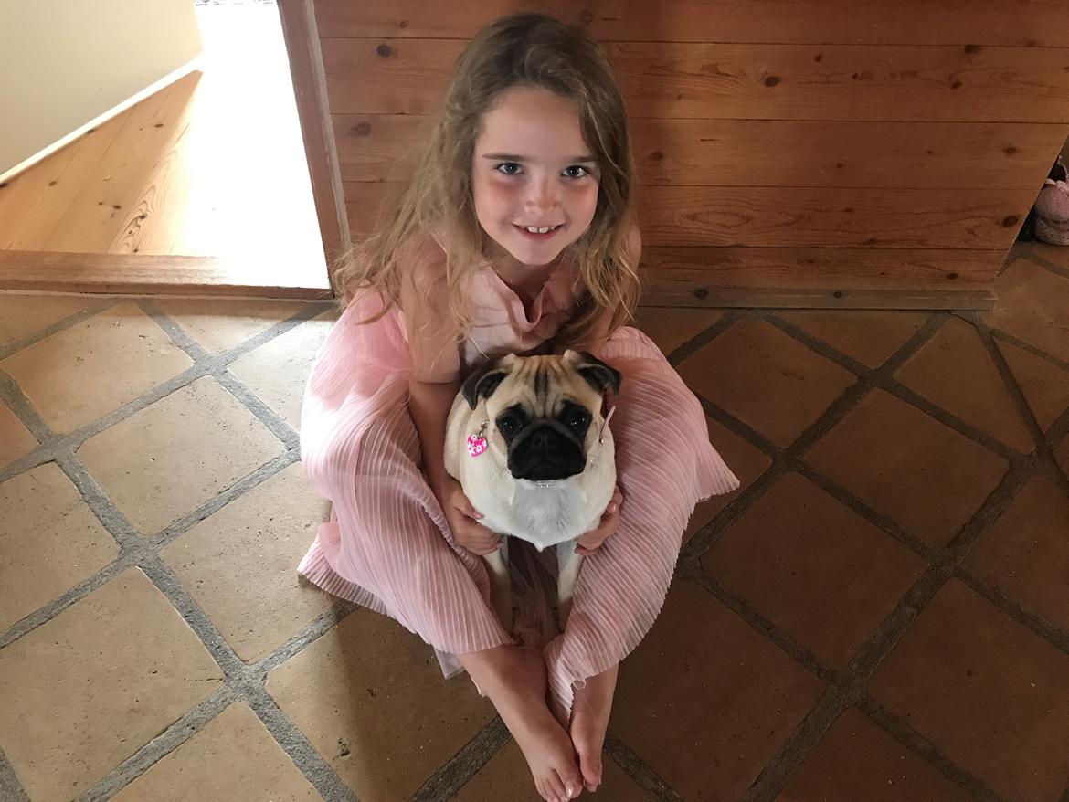 Mops Queenie billede 25