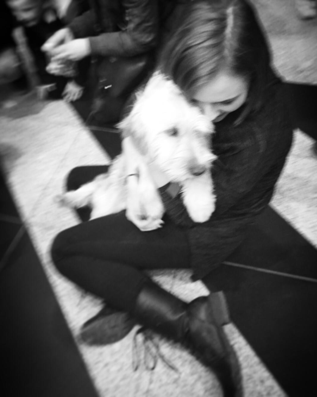 Blanding af racer Perseus billede 9