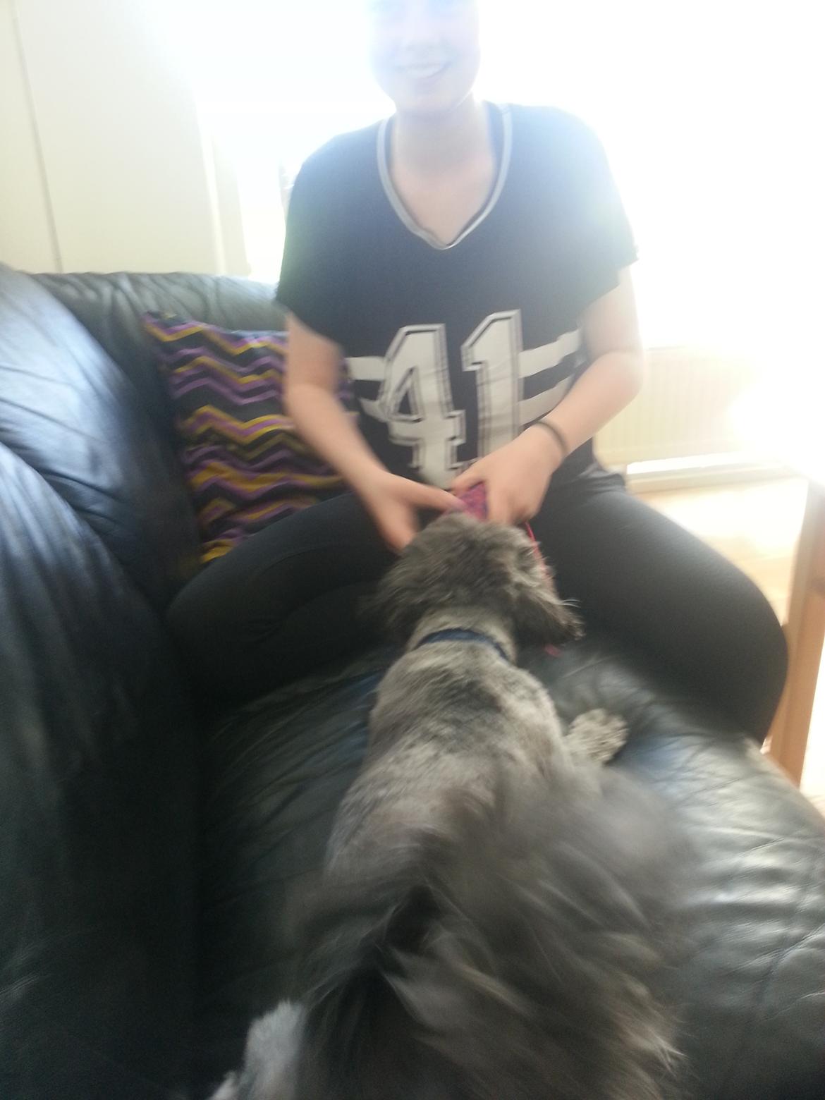 Blanding af racer Arthur billede 5