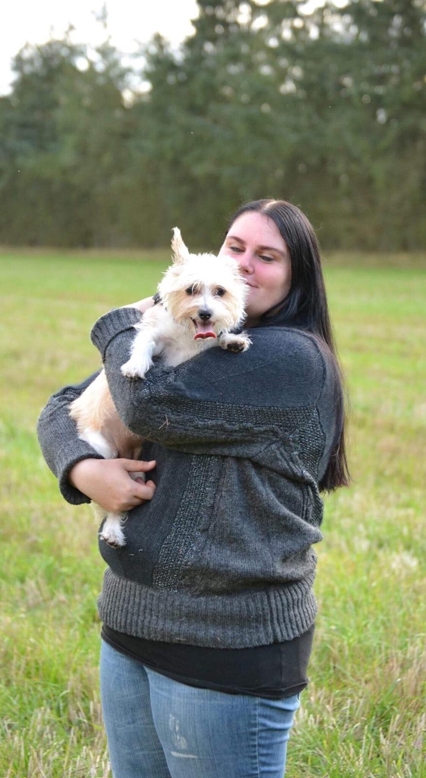 Podengo portugues pequeno Benzina Do Vale Negro Aka. Zina billede 24