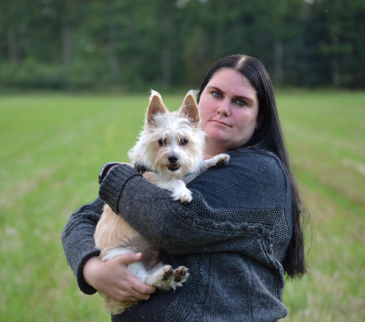 Podengo portugues pequeno Benzina Do Vale Negro Aka. Zina billede 25