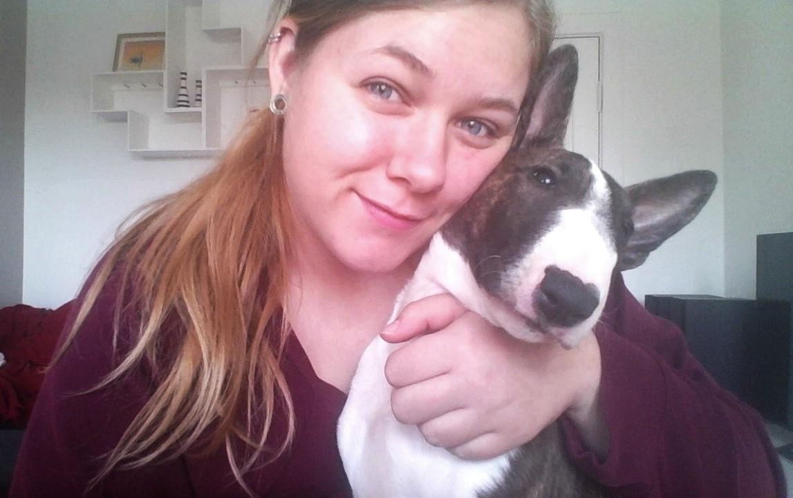 Bullterrier Qwerty (Danmar Bull's Rainbow Dash) billede 27