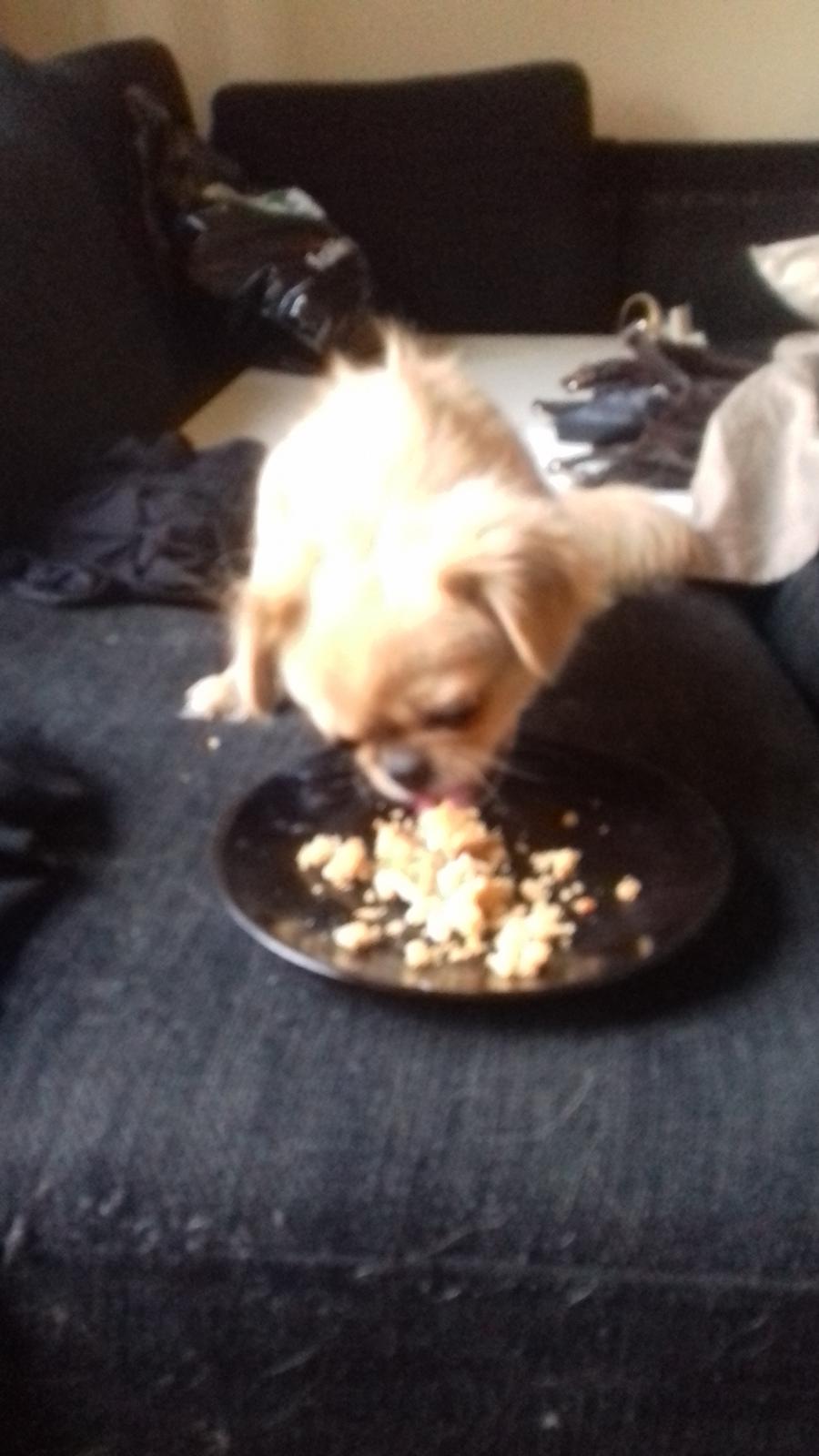 Blanding af racer Gucci billede 6