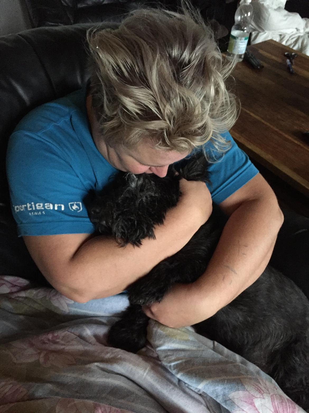 Skotsk terrier Freja billede 24