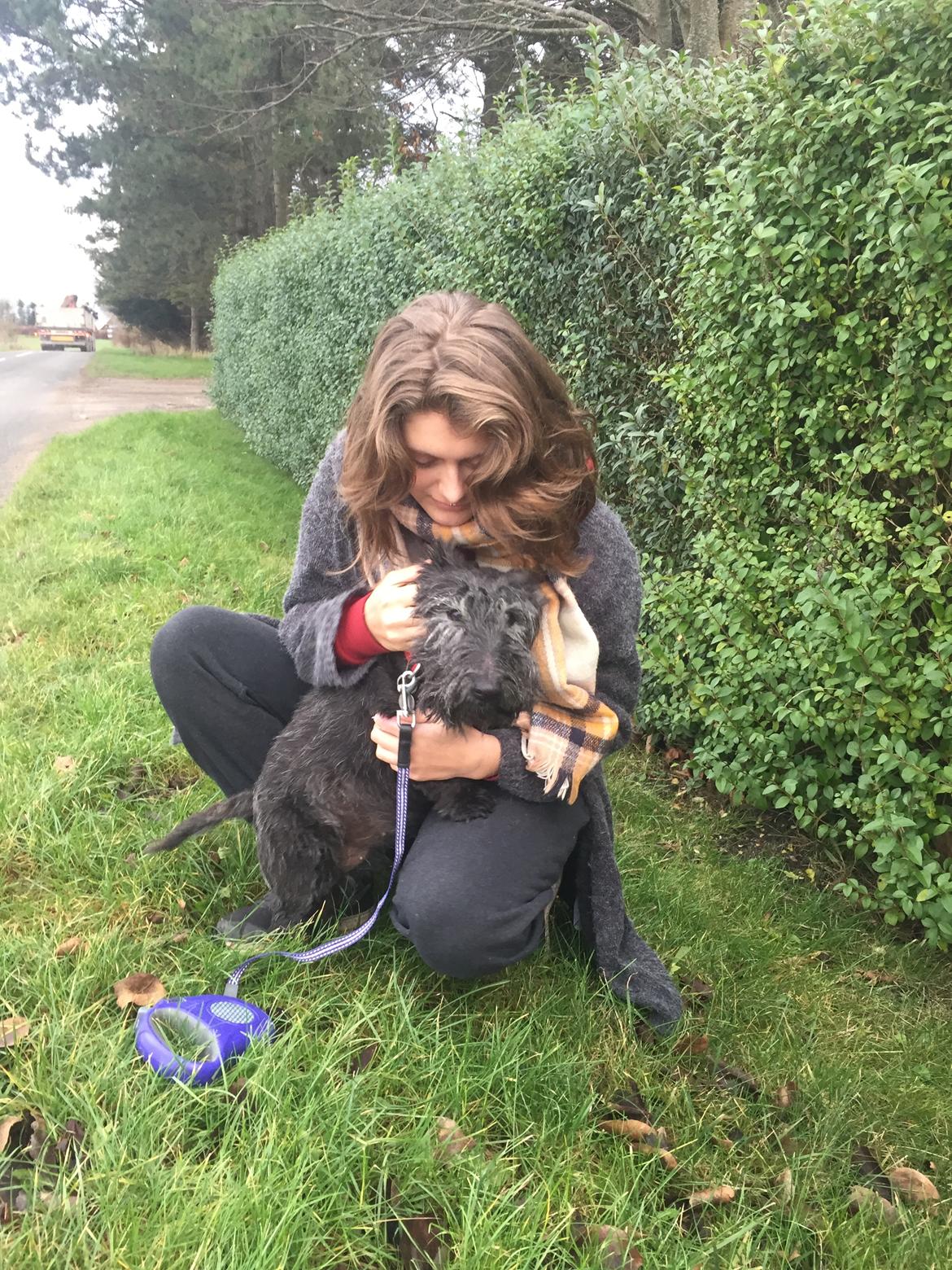 Skotsk terrier Freja billede 28