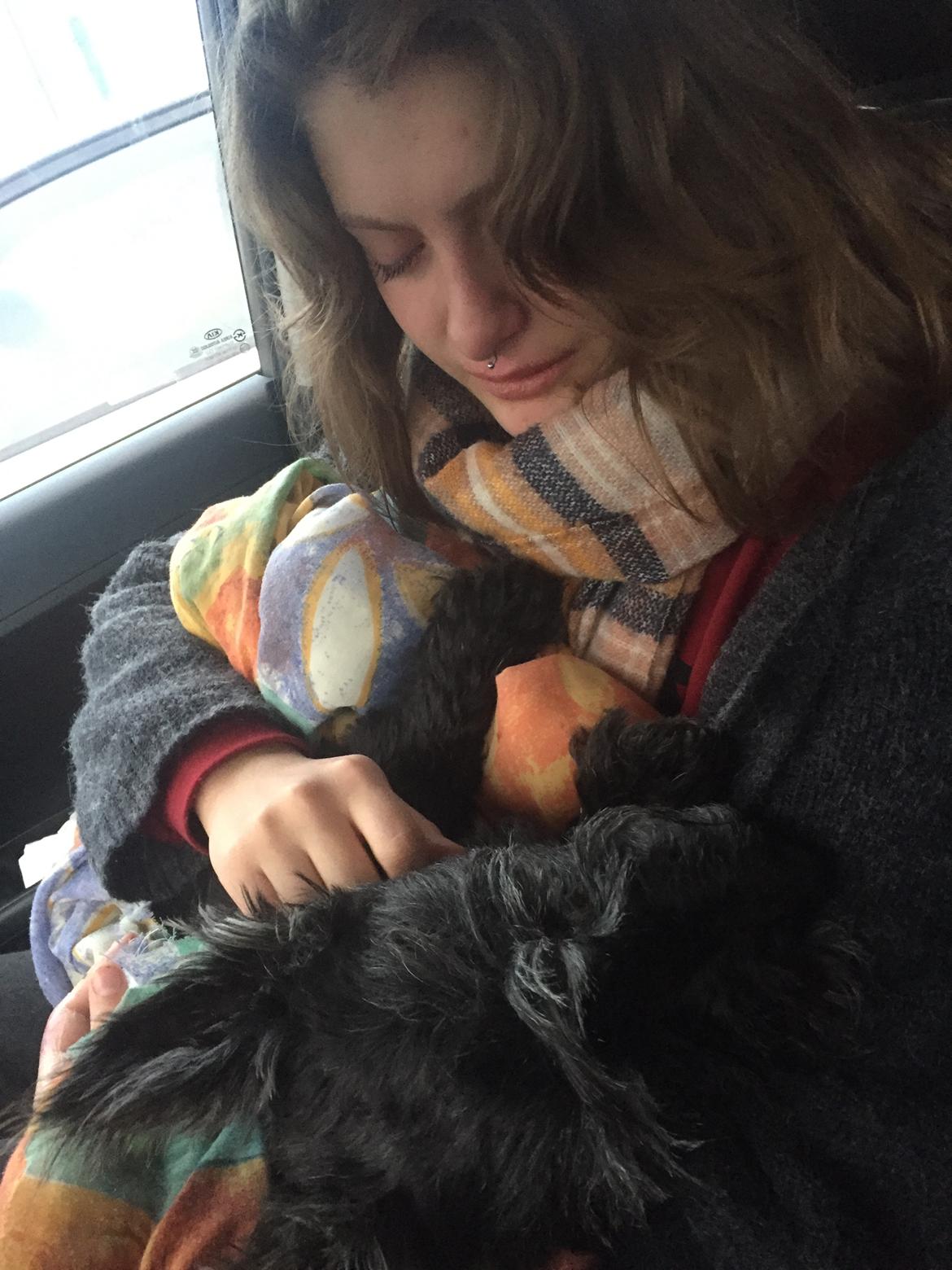 Skotsk terrier Freja - Freja i fred ❤️ nu skal hun hjem og begraves ved vores andre hunde 😥 billede 29