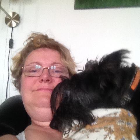 Skotsk terrier Freja billede 30