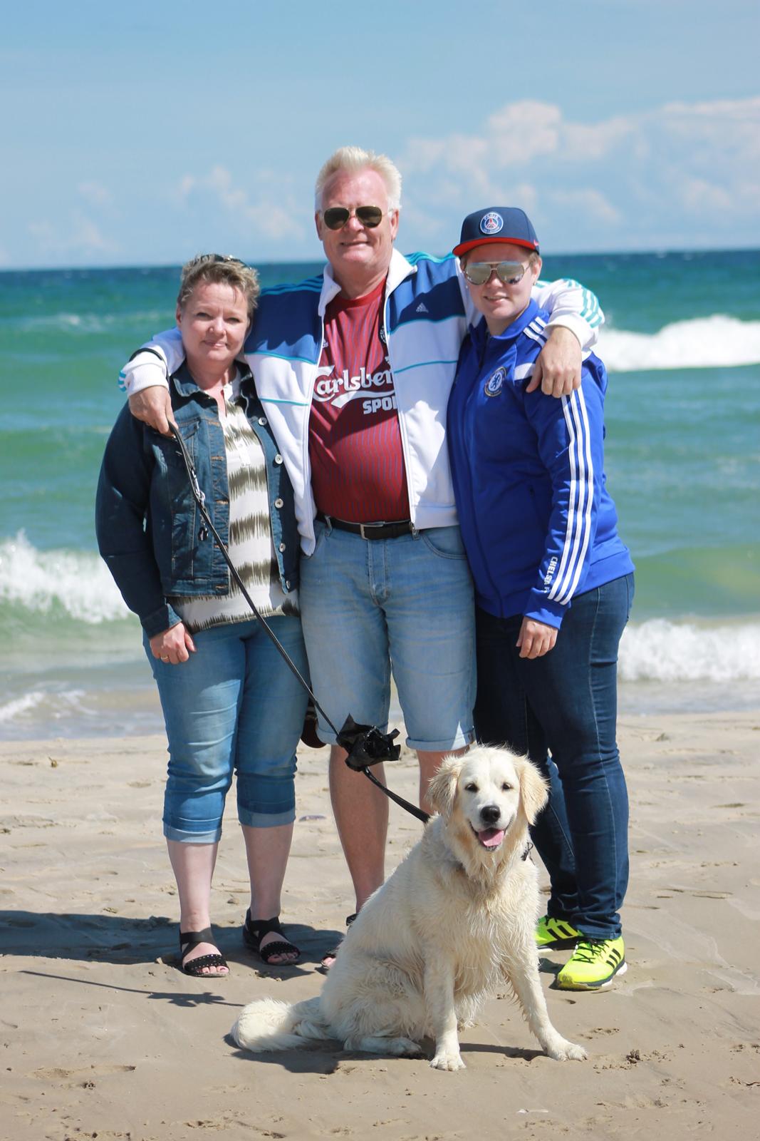 Golden retriever Peka's Chelsea billede 5