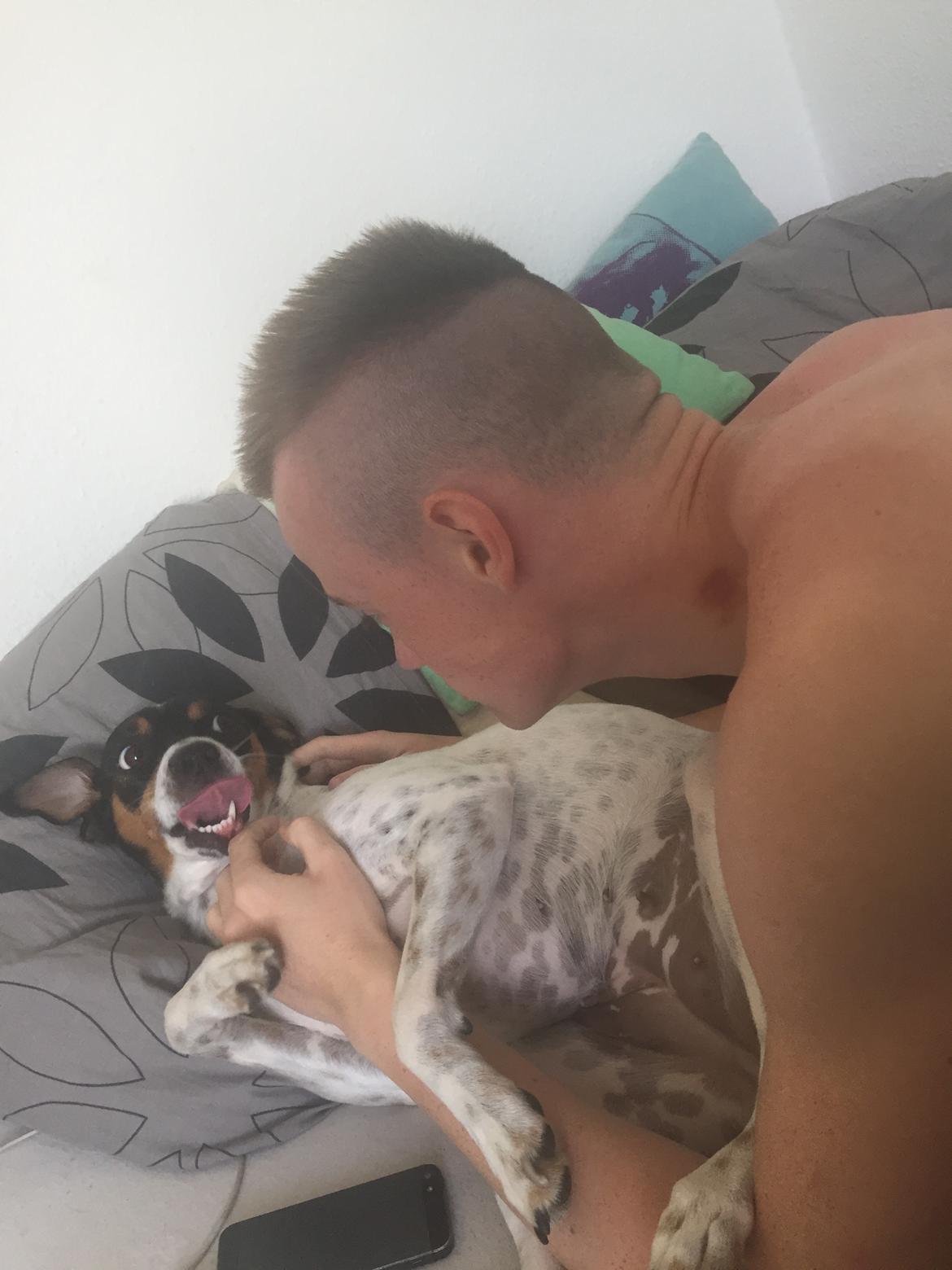 Blanding af racer Dina The Diva billede 10