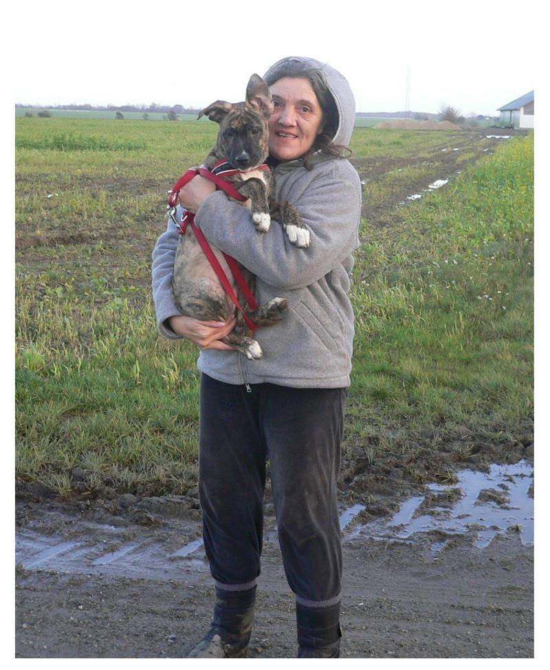 Blanding af racer Sitter billede 6