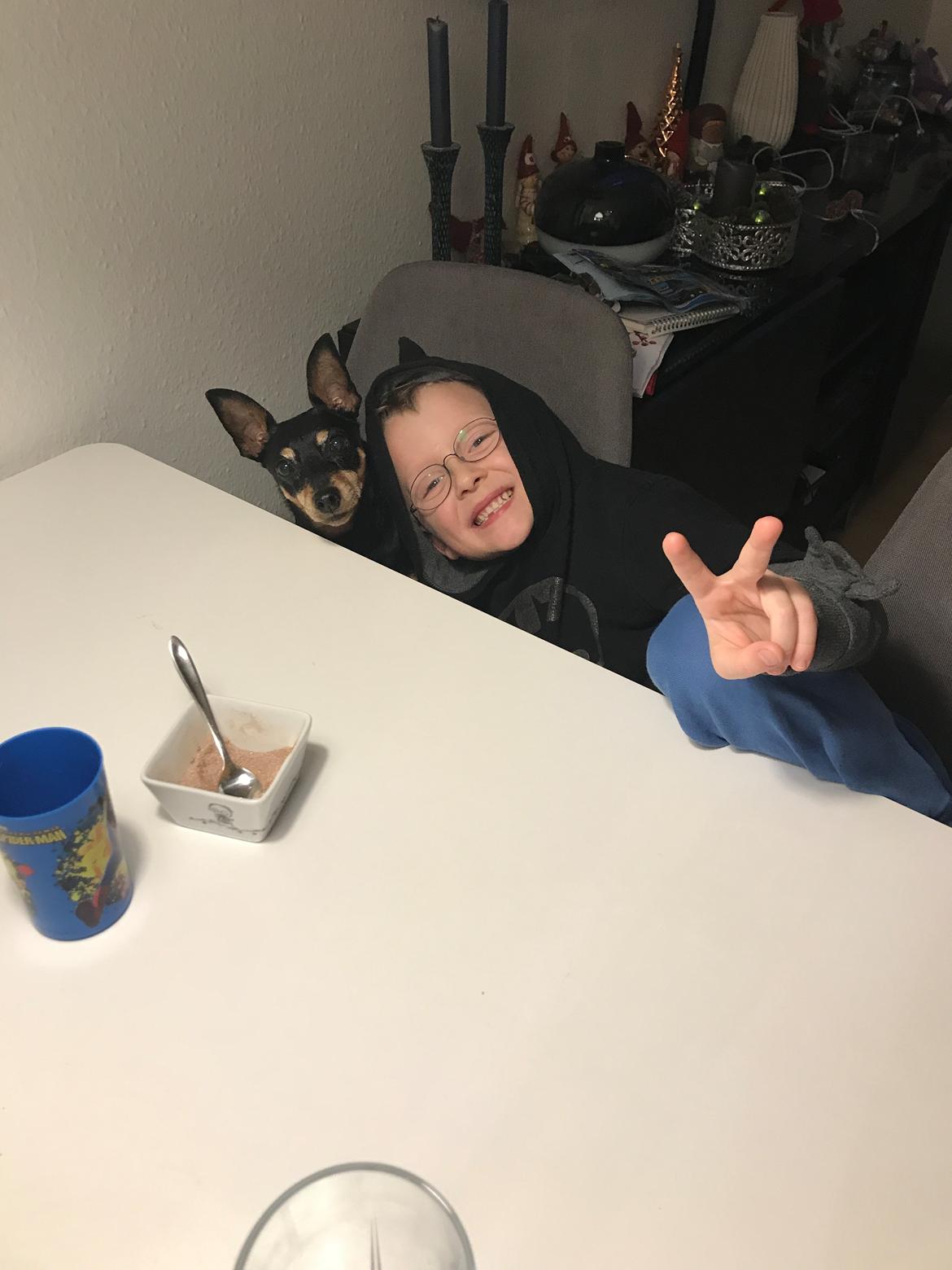 Dvaergpinscher Diva<3 30 april - Diva med sin bror ❤️ billede 18