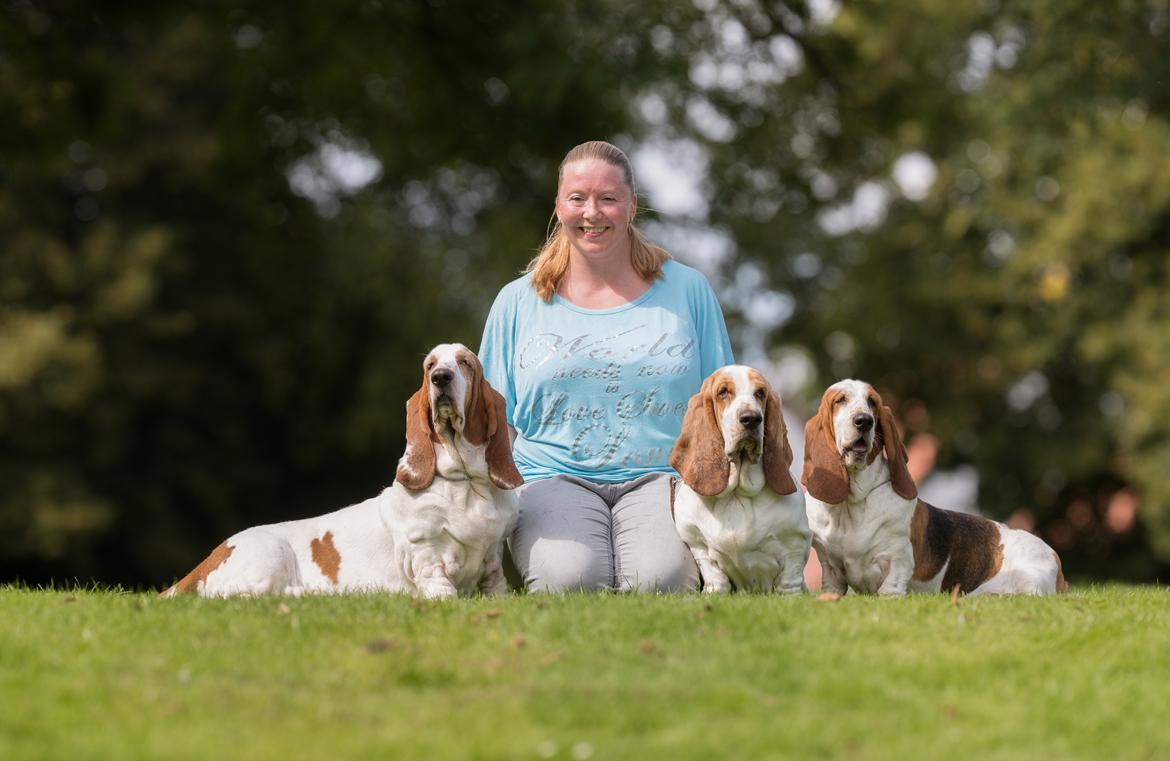 Basset hound Baffo Bentley Haley billede 5