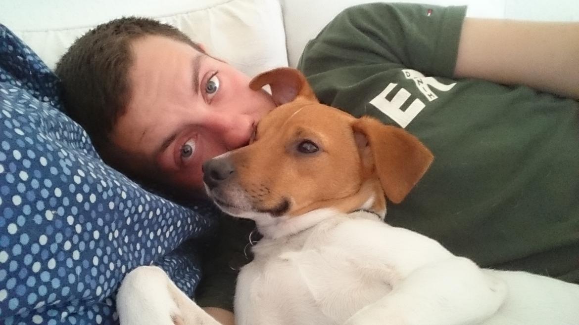 Dansk svensk gaardhund Jack - Puttehunden  billede 43