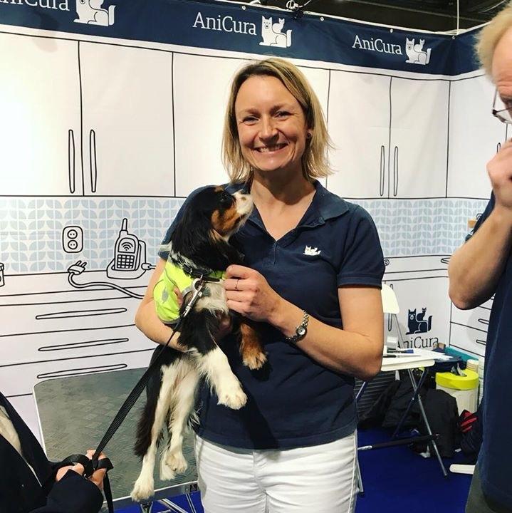 Cavalier king charles spaniel Liane's Tia Lucia billede 17