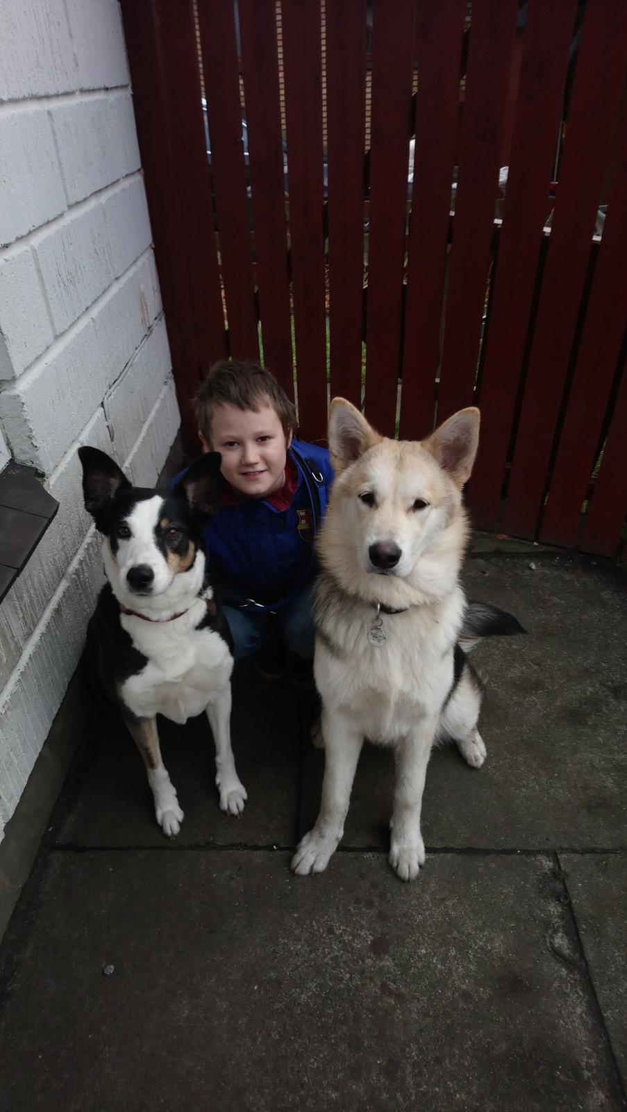 Blanding af racer Kida  billede 16