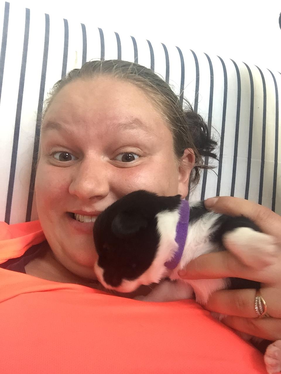 Welsh corgi cardigan Ruthmann's Mynte billede 3