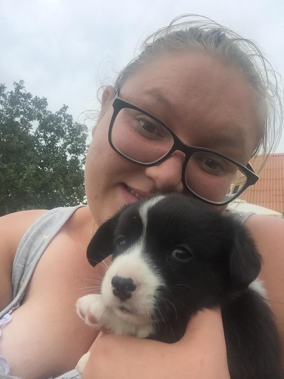 Welsh corgi cardigan Ruthmann's Mynte billede 4