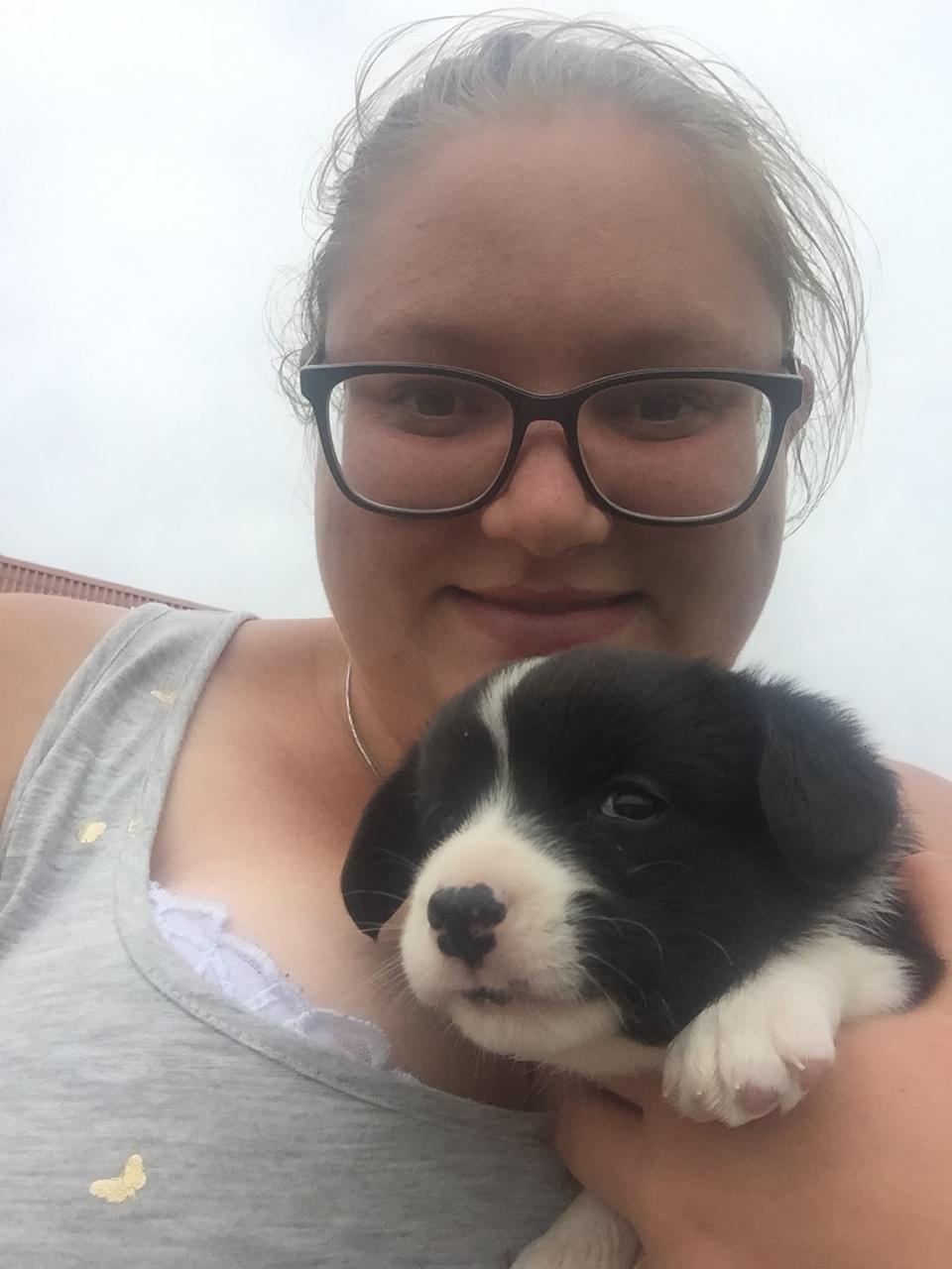 Welsh corgi cardigan Ruthmann's Mynte billede 5