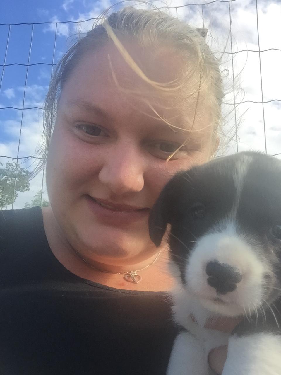 Welsh corgi cardigan Ruthmann's Mynte billede 7