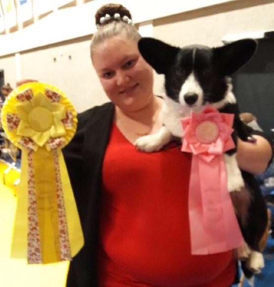 Welsh corgi cardigan Ruthmann's Mynte billede 22