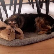 Blanding af racer Gaia