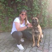 Malinois IGP3 Czhaplin Codi-Fin